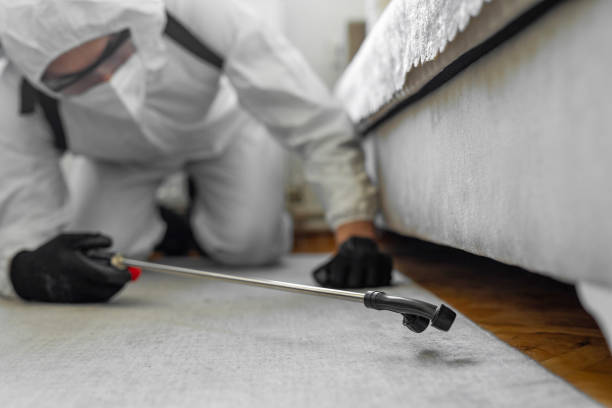 Professional Bed Bug Control technician working in McPherson, KS