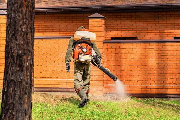 Top rated local Bed Bug Control specialists in McPherson, KS